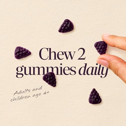 Nature's Way Sambucus Zero Sugar Immune Gummies – Tägliche Immununterstützung mit Holunderextrakt, Vitamin C, Vitamin D3, Zink – Zuckerfrei, ohne Zuckeralkohole – 70 Gummis