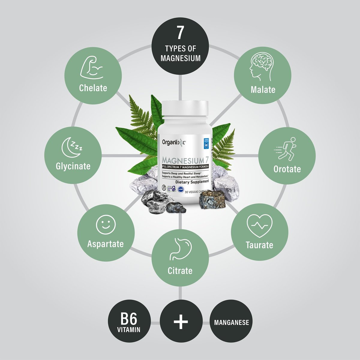 Organixx Magnesium Kapseln – Natürliches Magnesium für Schlafunterstützung & Muskelregeneration mit Vitamin B6 & Mangan – Hochabsorbierend, Vegan, Non-GMO (30 Kapseln)