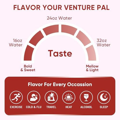 Venture Pal Zuckerfreie Elektrolyt-Pulverbeutel - Flüssiger Daily IV Drink für schnelle Hydration & Party-Erholung | 5 Vitamine & 7 Elektrolyte | Keto-freundlich | Non-GMO | Vegan | 16 Sticks