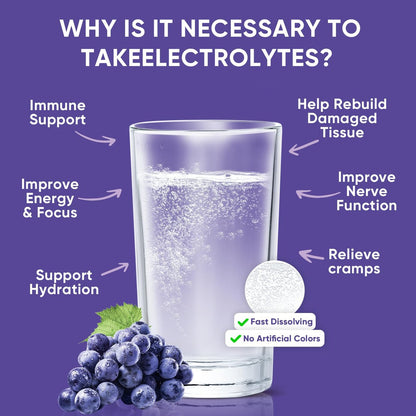 Venture Pal Zuckerfreies Elektrolyt-Pulver – Beutel mit Flüssigkeits-Getränkemischung für schnelle Hydratation & Partynachbereitung | 5 Vitamine & 7 Elektrolyte | Keto-freundlich | Nicht-GVO | Zertifiziert vegan | 16 Sticks
