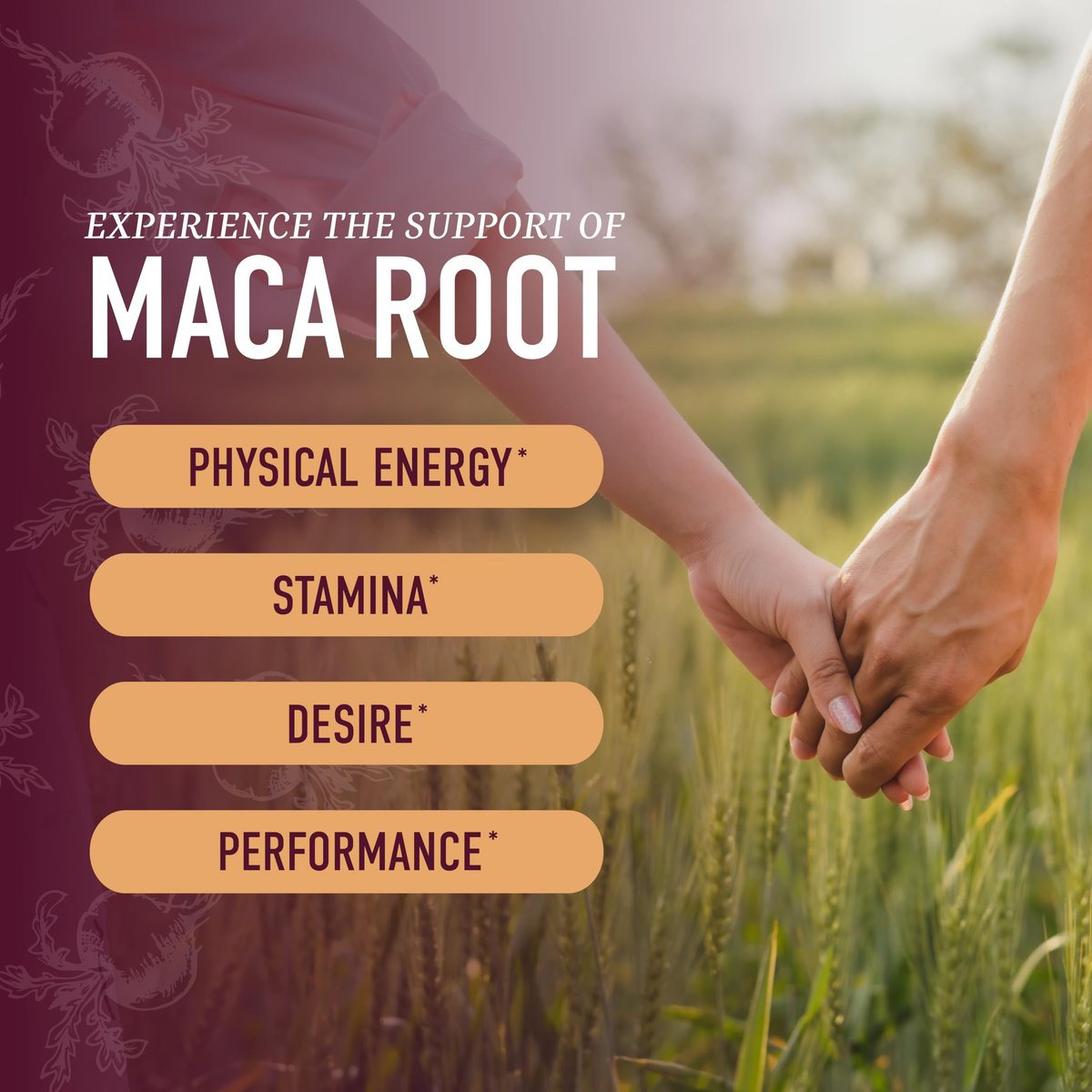 Maca Root Gummies | Antrieb, Leistung & Energie | Hochkonzentrierter 4:1-Extrakt | Hormonbalance für Frauen | Leckerer Pfirsichgeschmack | Vegan, Nicht-GVO & Drittanbieter-getestet | 60 Maca-Gummis