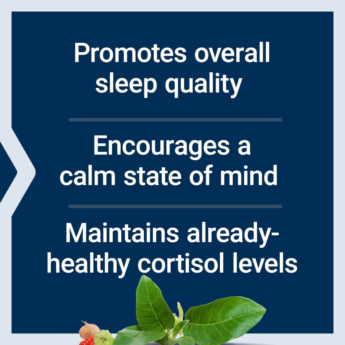 Life Extension Serene Sleep – Ashwagandha, Schwarzkümmel – Schlafergänzung ohne Melatonin, zur Ruhe und Entspannung – einmal täglich, glutenfrei, nicht gentechnisch verändert – 30 Softgels