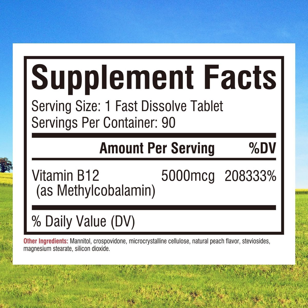 Innate Vitality Vitamin B12 5000 mcg, sublingual, vegan, Methylcobalamin, schnell lösliche Tabletten, natürlicher Pfirsichgeschmack, unterstützt Energieproduktion & gesundes Nervensystem, 90 Tabletten