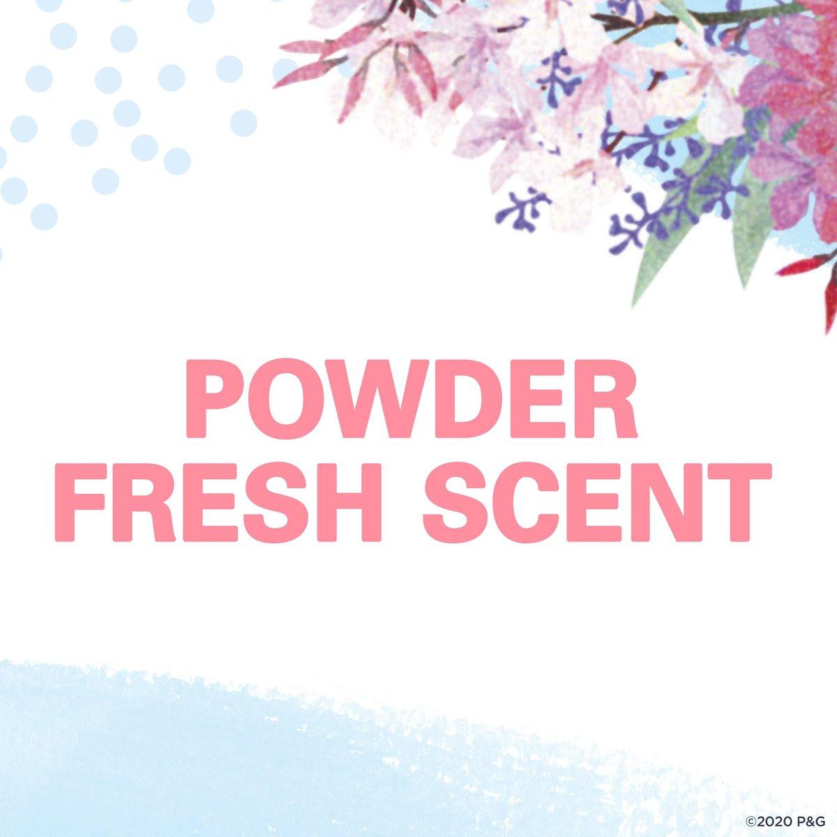Secret Roll-On Antitranspirant und Deodorant für Frauen, 24h Schweiß- & Geruchsschutz, pH-ausgeglichene Formel, Powder Fresh Duft, 1,8 oz (12er-Pack)
