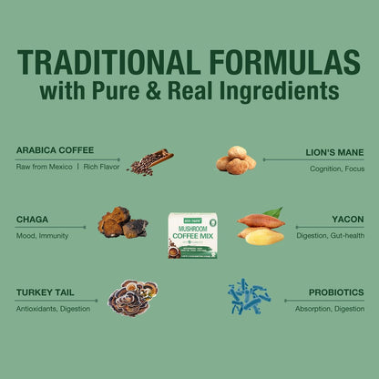 ECO-TASTE Mushroom Coffee Mix für die Darmgesundheit mit Chaga, Löwenmähne, Truthahnschwanz, Yacon und Probiotika – 12 Beutel