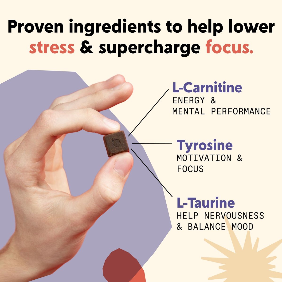 PYM Attention Chews – Konzentrationshilfe gegen Prokrastination, Fokus & Produktivität, 20 Stück | 518 mg L-Carnitin, 54 mg Tyrosin, 11 mg L-Taurin, Koffeinfrei | Natürliche Stimmungsaufheller, hergestellt in den USA