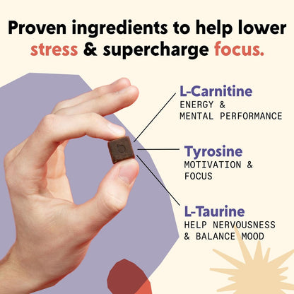 PYM Attention Chews – Konzentrationshilfe gegen Prokrastination, Fokus & Produktivität, 20 Stück | 518 mg L-Carnitin, 54 mg Tyrosin, 11 mg L-Taurin, Koffeinfrei | Natürliche Stimmungsaufheller, hergestellt in den USA