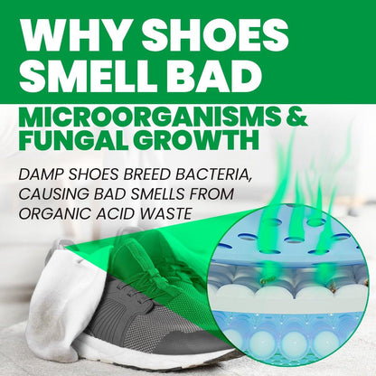 Uncle Todd's Schuh-Deo-Spray – Bewährte & kraftvolle Enzymformel zur Geruchsbeseitigung in allen Schuhen (Mountain Fresh)