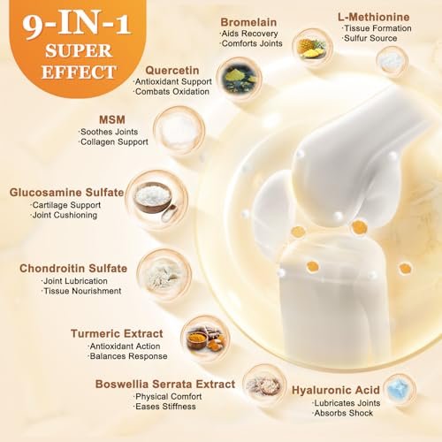 ZEBORA Glucosamin Chondroitin Gelenkunterstützung für Frauen und Männer, mit MSM, Kurkuma, Gelenksupplement, Schalentierfrei, 120 Kapseln