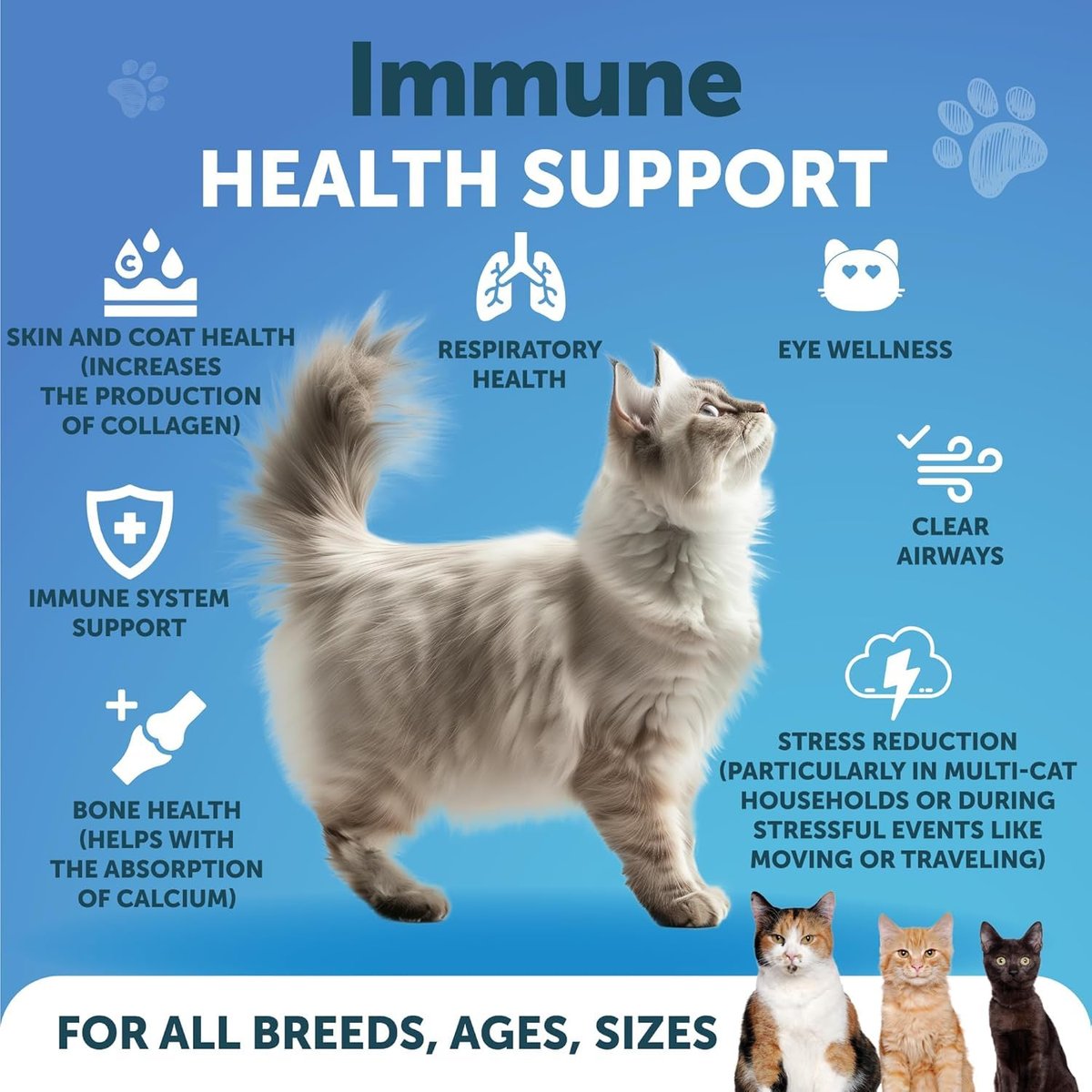 L-Lysin für Katzen - Lysinpulver Ergänzung - 900mg/Portion - Immununterstützung für Katzen & Kätzchen - Niesen, laufende Nase, tränende Augen, Erkältung, Augengesundheit, Atemwegsgesundheit - mit Taurin
