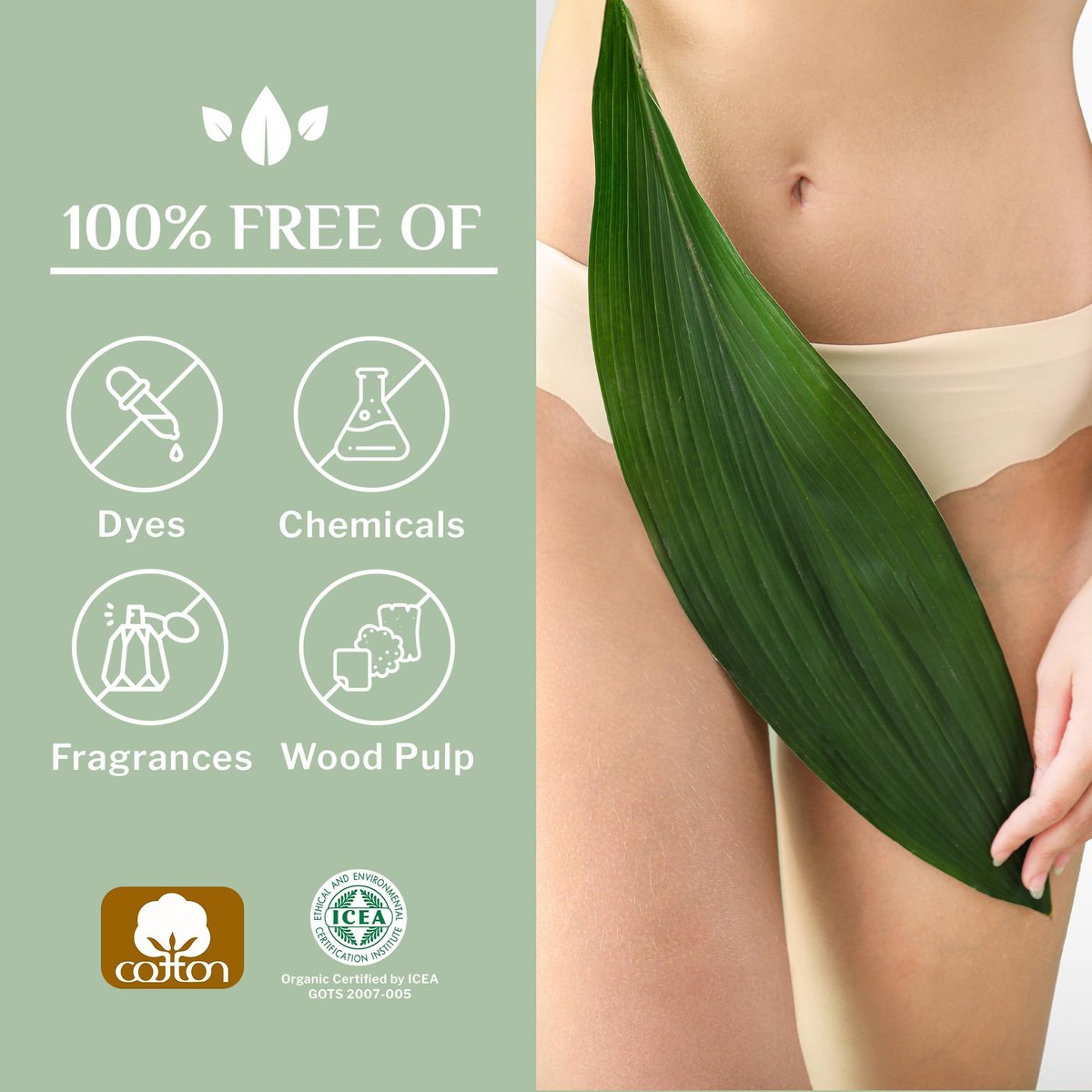 Organyc 100% Bio-Baumwolle Tanga Slipeinlagen, hautfreundlich, ultradünn, 24 Stück