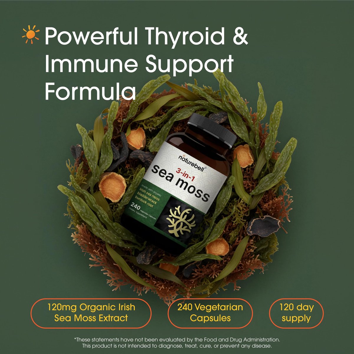 NatureBell 3-in-1 Sea Moss Komplex – 240 vegane Kapseln mit Bio-Bladderwrack & Bio-Klettenwurzel – Unterstützt Verdauung, Vitalität & Immunsystem*