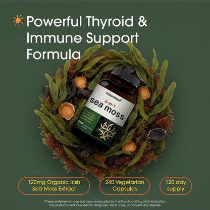 NatureBell 3-in-1 Sea Moss Komplex – 240 vegane Kapseln mit Bio-Bladderwrack & Bio-Klettenwurzel – Unterstützt Verdauung, Vitalität & Immunsystem*