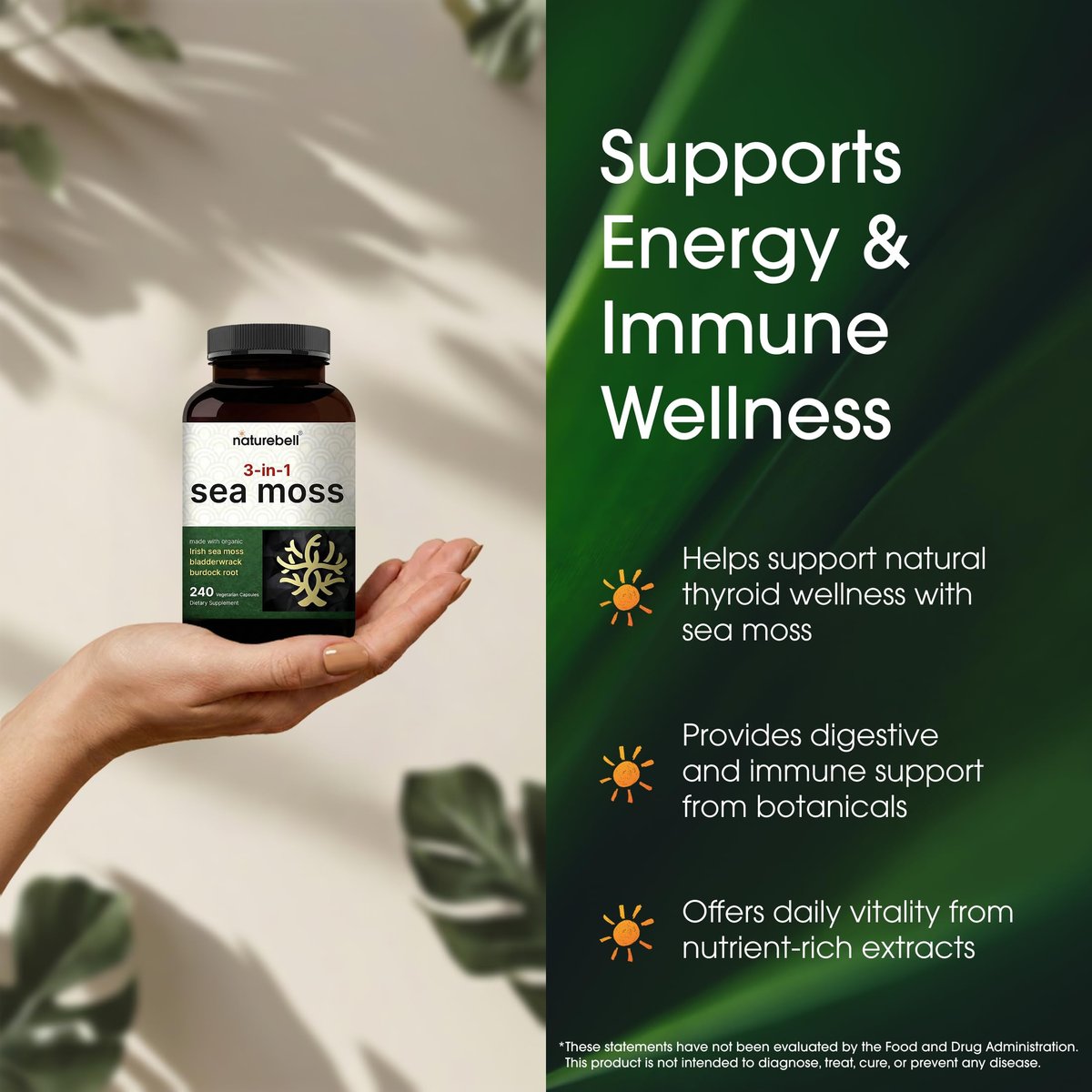 NatureBell 3-in-1 Sea Moss Komplex – 240 vegane Kapseln mit Bio-Bladderwrack & Bio-Klettenwurzel – Unterstützt Verdauung, Vitalität & Immunsystem*