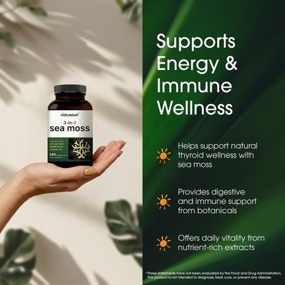 NatureBell 3-in-1 Sea Moss Komplex – 240 vegane Kapseln mit Bio-Bladderwrack & Bio-Klettenwurzel – Unterstützt Verdauung, Vitalität & Immunsystem*