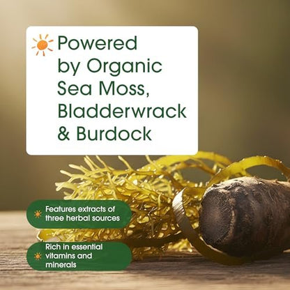NatureBell 3-in-1 Sea Moss Komplex – 240 vegane Kapseln mit Bio-Bladderwrack & Bio-Klettenwurzel – Unterstützt Verdauung, Vitalität & Immunsystem*