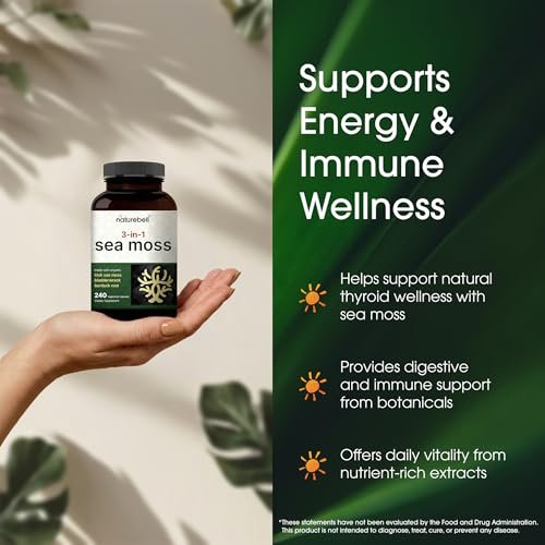 NatureBell 3-in-1 Sea Moss Komplex – 240 vegane Kapseln mit Bio-Bladderwrack & Bio-Klettenwurzel – Unterstützt Verdauung, Vitalität & Immunsystem*