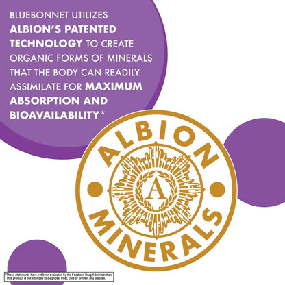 Bluebonnet Nutrition Magnesium Malat Kapseln – Unterstützt Energie, Muskel- und Gelenkgesundheit – Non-GMO, Vegan, Koscher, Glutenfrei, 90 Kapseln