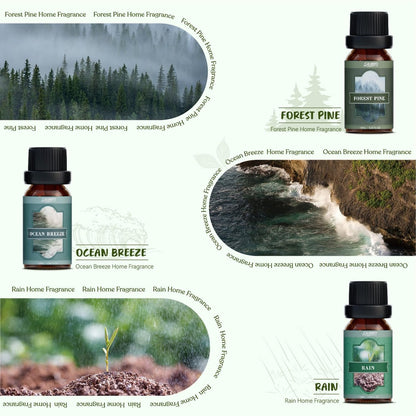 SALUBRITO Nature Fragrance Öle Set – 6 Premium Duftöle für Diffuser, Kerzen & Seifen: Waldkiefer, Meeresbrise, Regen, Frisch geschnittenes Gras, Bergluft, Bambus – 2 Fl Oz (Packung mit 1)