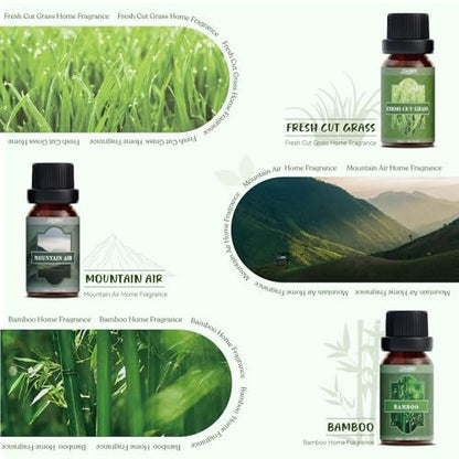 SALUBRITO Nature Fragrance Öle Set – 6 Premium Duftöle für Diffuser, Kerzen & Seifen: Waldkiefer, Meeresbrise, Regen, Frisch geschnittenes Gras, Bergluft, Bambus – 2 Fl Oz (Packung mit 1)