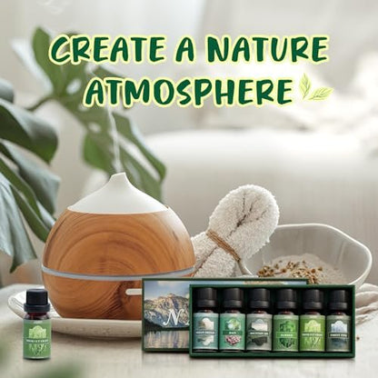 SALUBRITO Nature Fragrance Öle Set – 6 Premium Duftöle für Diffuser, Kerzen & Seifen: Waldkiefer, Meeresbrise, Regen, Frisch geschnittenes Gras, Bergluft, Bambus – 2 Fl Oz (Packung mit 1)
