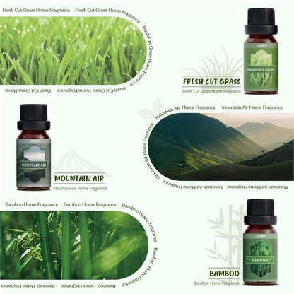 SALUBRITO Nature Fragrance Öle Set – 6 Premium Duftöle für Diffuser, Kerzen & Seifen: Waldkiefer, Meeresbrise, Regen, Frisch geschnittenes Gras, Bergluft, Bambus – 2 Fl Oz (Packung mit 1)