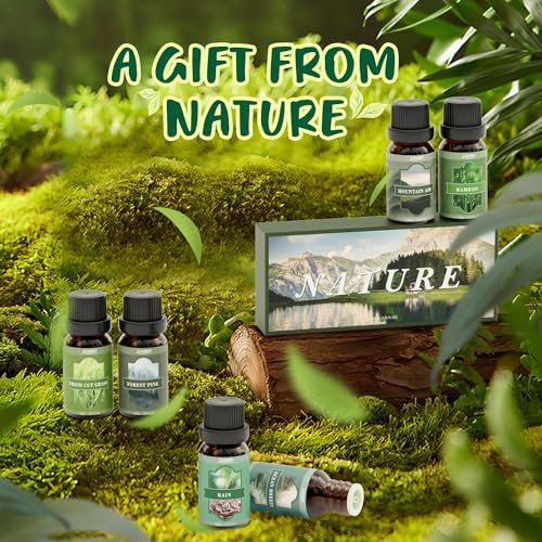 SALUBRITO Nature Fragrance Öle Set – 6 Premium Duftöle für Diffuser, Kerzen & Seifen: Waldkiefer, Meeresbrise, Regen, Frisch geschnittenes Gras, Bergluft, Bambus – 2 Fl Oz (Packung mit 1)