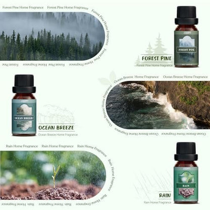SALUBRITO Nature Fragrance Öle Set – 6 Premium Duftöle für Diffuser, Kerzen & Seifen: Waldkiefer, Meeresbrise, Regen, Frisch geschnittenes Gras, Bergluft, Bambus – 2 Fl Oz (Packung mit 1)