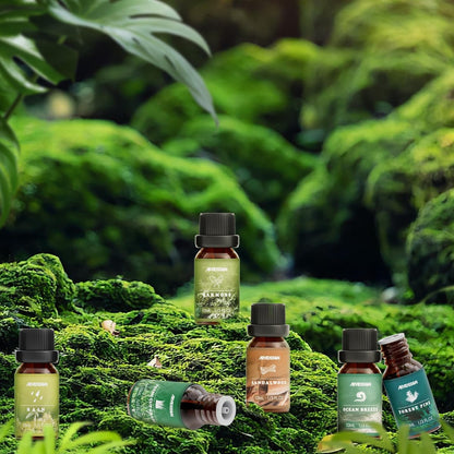 ARVIDSSON Nature Essential Oil Set – 6 natürliche Duftöle für Kerzen, Diffuser & Aromatherapie (Frisch geschnittenes Gras, Meeresbrise, Regen, Kiefer, Sandelholz, Eichenmoos) 10 ml