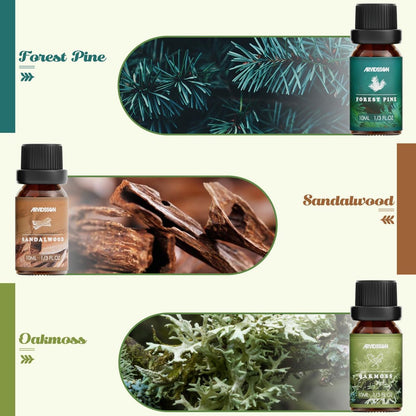 ARVIDSSON Nature Essential Oil Set – 6 natürliche Duftöle für Kerzen, Diffuser & Aromatherapie (Frisch geschnittenes Gras, Meeresbrise, Regen, Kiefer, Sandelholz, Eichenmoos) 10 ml