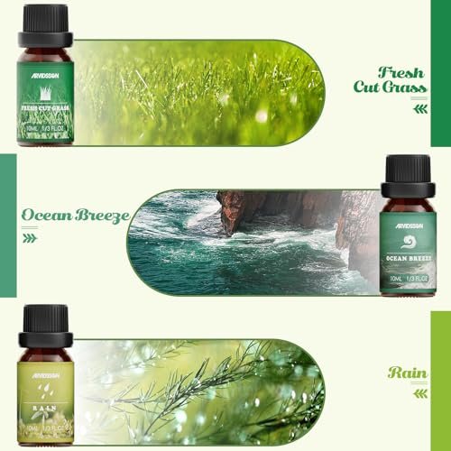 ARVIDSSON Nature Essential Oil Set – 6 natürliche Duftöle für Kerzen, Diffuser & Aromatherapie (Frisch geschnittenes Gras, Meeresbrise, Regen, Kiefer, Sandelholz, Eichenmoos) 10 ml
