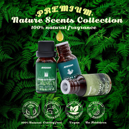 ARVIDSSON Nature Essential Oil Set – 6 natürliche Duftöle für Kerzen, Diffuser & Aromatherapie (Frisch geschnittenes Gras, Meeresbrise, Regen, Kiefer, Sandelholz, Eichenmoos) 10 ml
