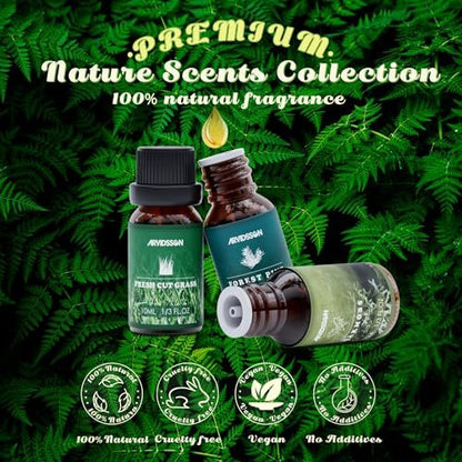ARVIDSSON Nature Essential Oil Set – 6 natürliche Duftöle für Kerzen, Diffuser & Aromatherapie (Frisch geschnittenes Gras, Meeresbrise, Regen, Kiefer, Sandelholz, Eichenmoos) 10 ml