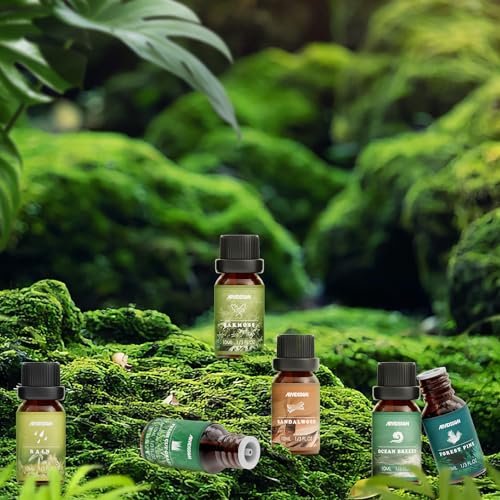 ARVIDSSON Nature Essential Oil Set – 6 natürliche Duftöle für Kerzen, Diffuser & Aromatherapie (Frisch geschnittenes Gras, Meeresbrise, Regen, Kiefer, Sandelholz, Eichenmoos) 10 ml