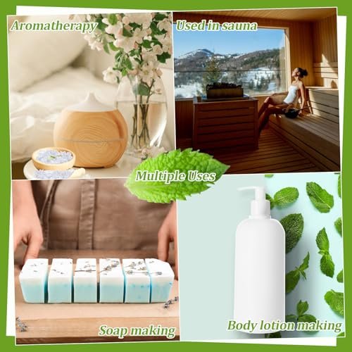 MAQIHAN 100 g Mentholkristalle – Lebensmittelqualität, organisch, für Duschbomben, Aromatherapie, Dampftabletten, Erkältungslinderung, Pfefferminzöl-Herstellung