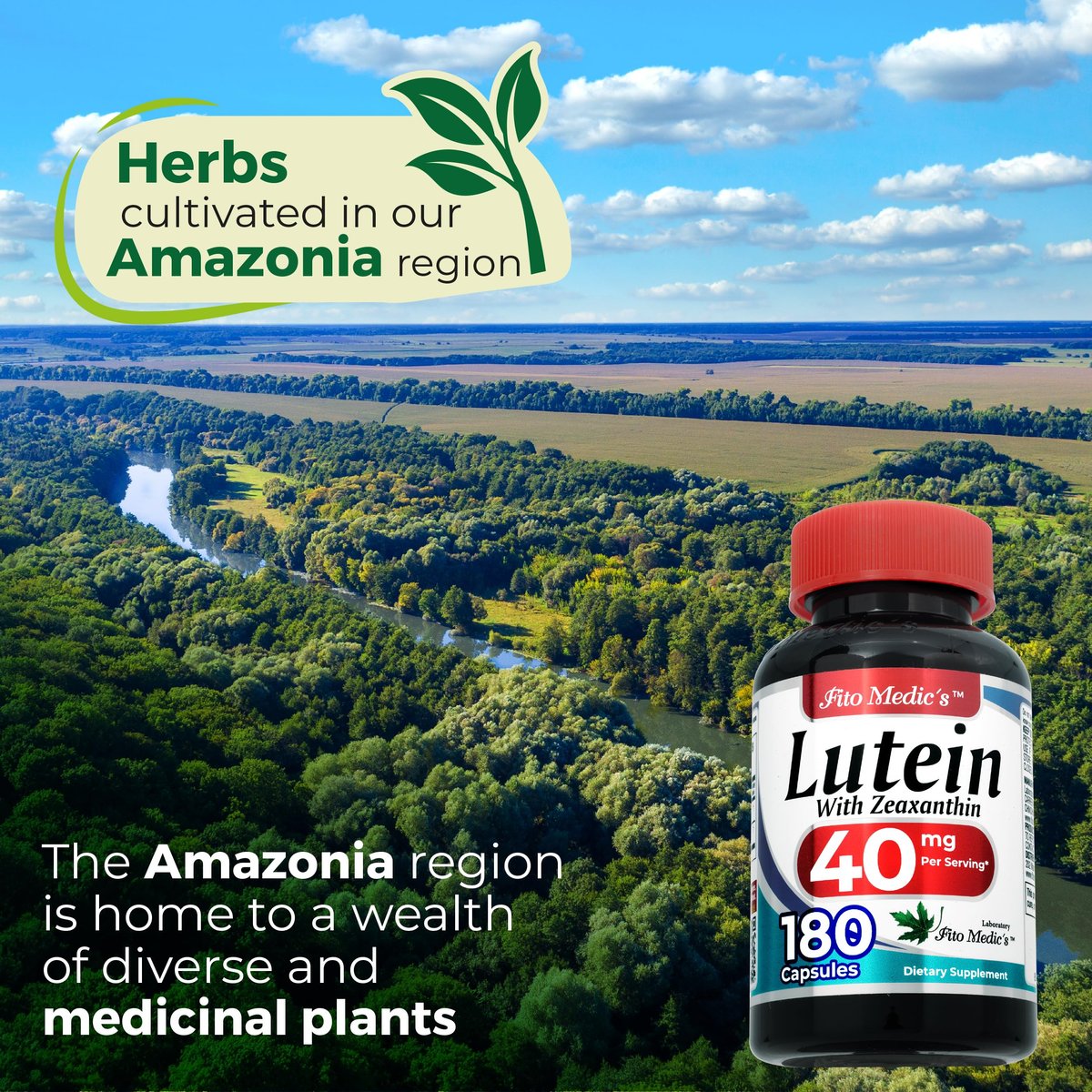 FITO MEDIC'S Lab Lutein Supplement mit Zeaxanthin, 180 Kapseln, pflanzliche Formel