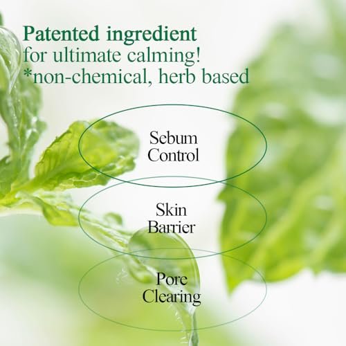 Pyunkang Yul PKY Ultimate Calming Solution Ampulle für empfindliche Haut mit patentierten Inhaltsstoffen – Beruhigendes Serum mit Cica und Teebaum für reduzierte Rötungen (30 ml)