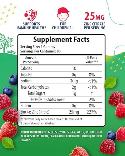 Zink Gummibärchen für Kinder – Kaubare Zink-Gummies zur Unterstützung des Immunsystems – Wenig Zucker, natürliches Antioxidans, Nicht-GVO, für Kleinkinder & Teenager – 90 Gummies