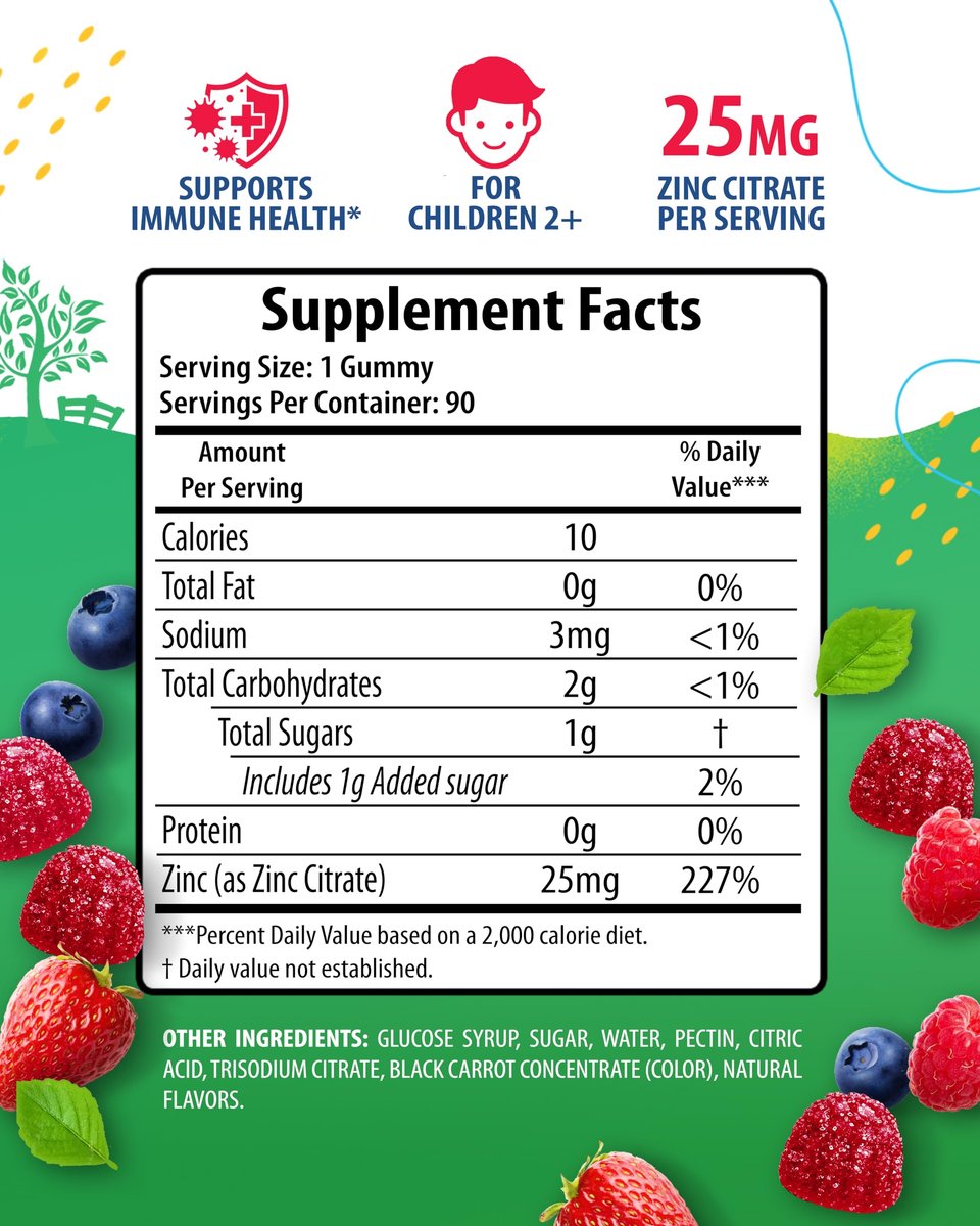 Zink Gummibärchen für Kinder – Kaubare Zink-Gummies zur Unterstützung des Immunsystems – Wenig Zucker, natürliches Antioxidans, Nicht-GVO, für Kleinkinder & Teenager – 90 Gummies
