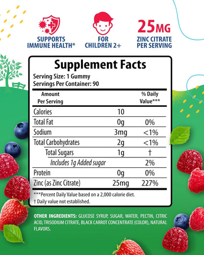 Zink Gummibärchen für Kinder – Kaubare Zink-Gummies zur Unterstützung des Immunsystems – Wenig Zucker, natürliches Antioxidans, Nicht-GVO, für Kleinkinder & Teenager – 90 Gummies