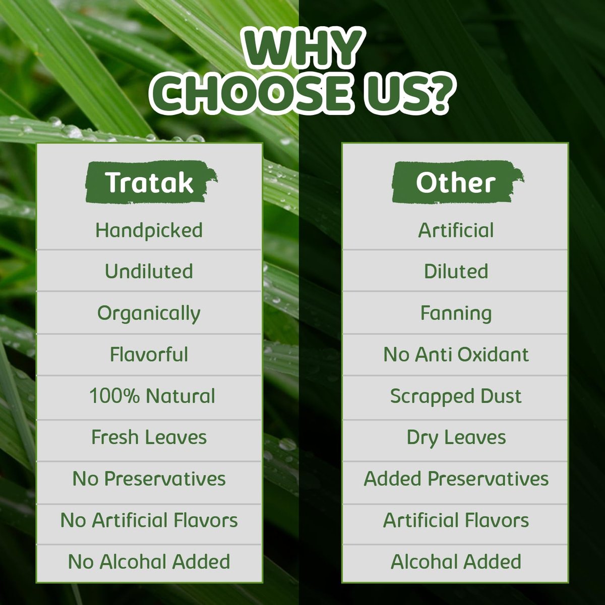 TRATAK ORGANICS Citronella Bio Öl – 118 ml – 100% reines und natürliches Citronellaöl für Diffuser und Aromatherapie, Haut, Massage, Kerzen- und Seifenherstellung – mit Pipette