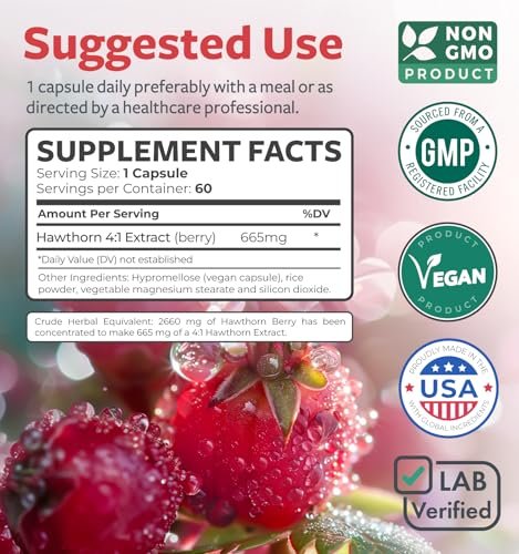 Hochwirksame Weißdornbeeren Kapseln - Weißdornbeeren 4:1 Extrakt (Beeren) 665mg Nahrungsergänzungsmittel aus Konzentrat zur Unterstützung der Herz- und Verdauungsgesundheit - Vegan, Nicht-GVO & Glutenfrei (2 Monatsvorrat)