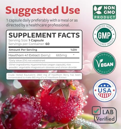 Hochwirksame Weißdornbeeren Kapseln - Weißdornbeeren 4:1 Extrakt (Beeren) 665mg Nahrungsergänzungsmittel aus Konzentrat zur Unterstützung der Herz- und Verdauungsgesundheit - Vegan, Nicht-GVO & Glutenfrei (2 Monatsvorrat)