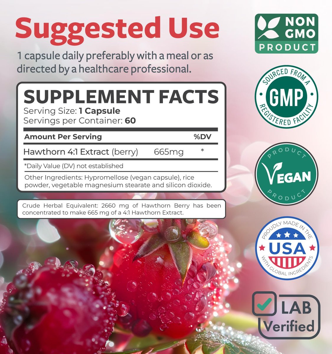 Hochwirksame Weißdornbeeren Kapseln - Weißdornbeeren 4:1 Extrakt (Beeren) 665mg Nahrungsergänzungsmittel aus Konzentrat zur Unterstützung der Herz- und Verdauungsgesundheit - Vegan, Nicht-GVO & Glutenfrei (2 Monatsvorrat)