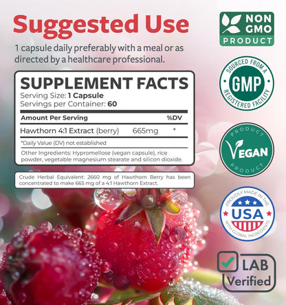Hochwirksame Weißdornbeeren Kapseln - Weißdornbeeren 4:1 Extrakt (Beeren) 665mg Nahrungsergänzungsmittel aus Konzentrat zur Unterstützung der Herz- und Verdauungsgesundheit - Vegan, Nicht-GVO & Glutenfrei (2 Monatsvorrat)