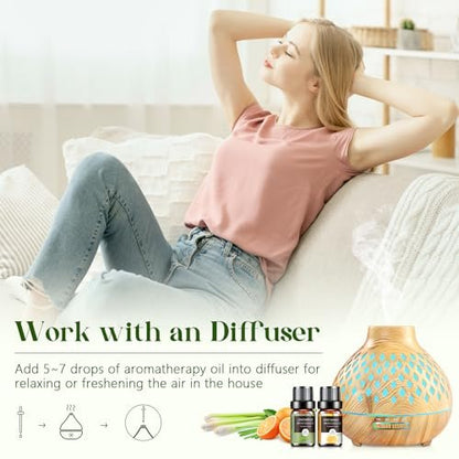 Ätherische Öle Set - 12 Stück Bio Aromatherapie Öl Kit für Diffuser, Luftbefeuchter, Massage, Seife, Kerzenherstellung (5 mL)