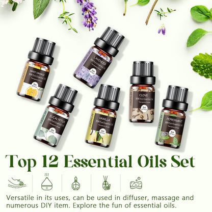 Ätherische Öle Set - 12 Stück Bio Aromatherapie Öl Kit für Diffuser, Luftbefeuchter, Massage, Seife, Kerzenherstellung (5 mL)