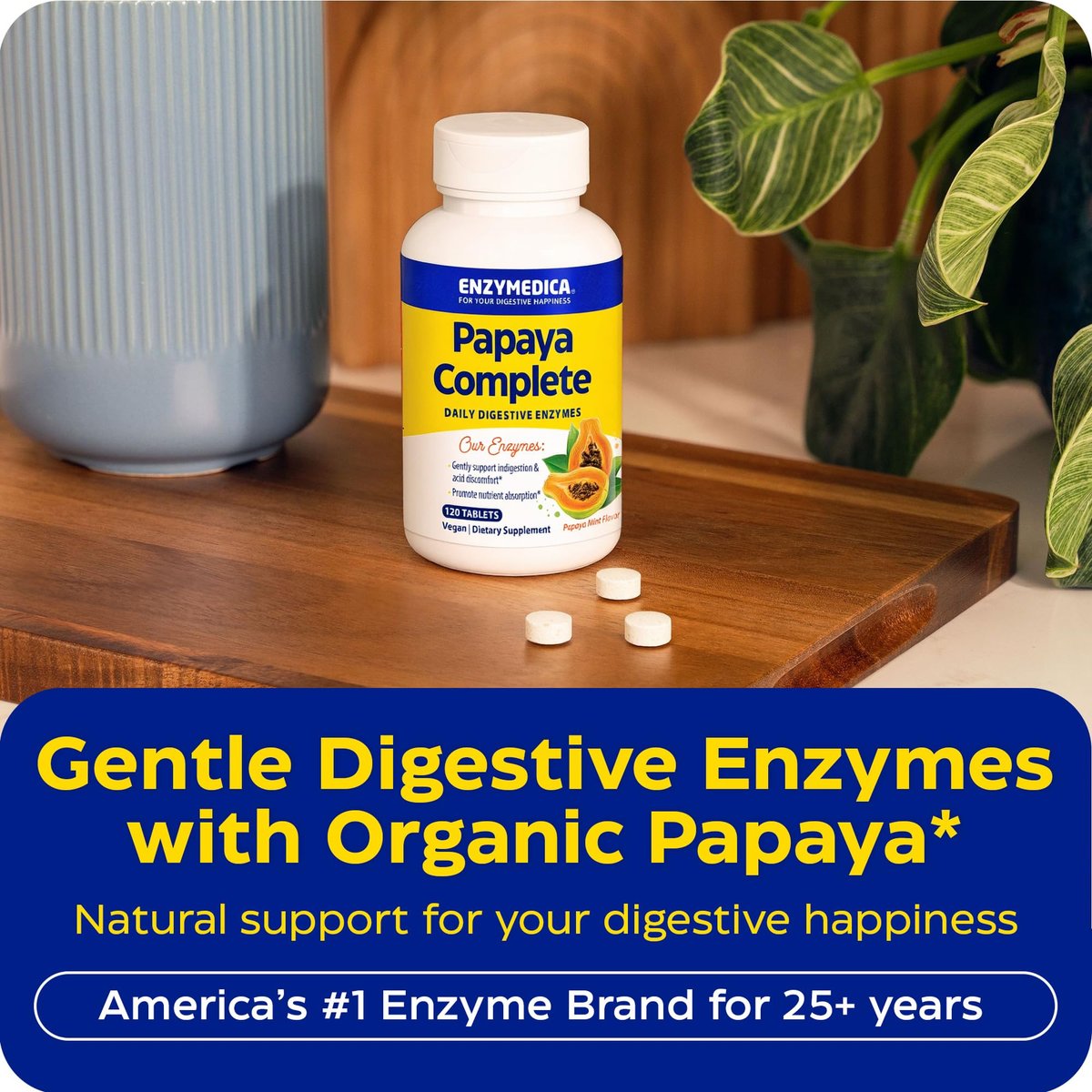 Enzymedica Papaya Complete – Kautabletten mit Papaya-Enzymen, Verdauungsergänzung für Frauen und Männer, Unterstützung der Verdauung und Darmgesundheit, hochpotentes Bromelain und Papain, vegan, glutenfrei – 120 Tabletten