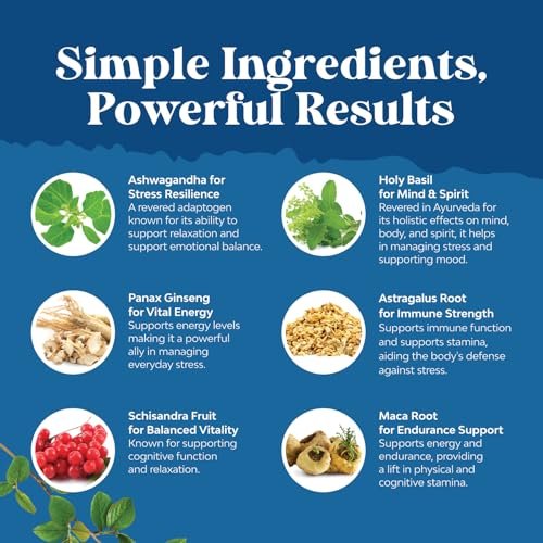 Kräuter-Adaptogen-Stimmungsunterstützung - Beruhigende Adaptogene für Stress- & Cortisol-Management mit Ashwagandha, Rhodiola Rosea & Maca-Wurzel - Vegan & tagsüber geeignet - 60 Kapseln