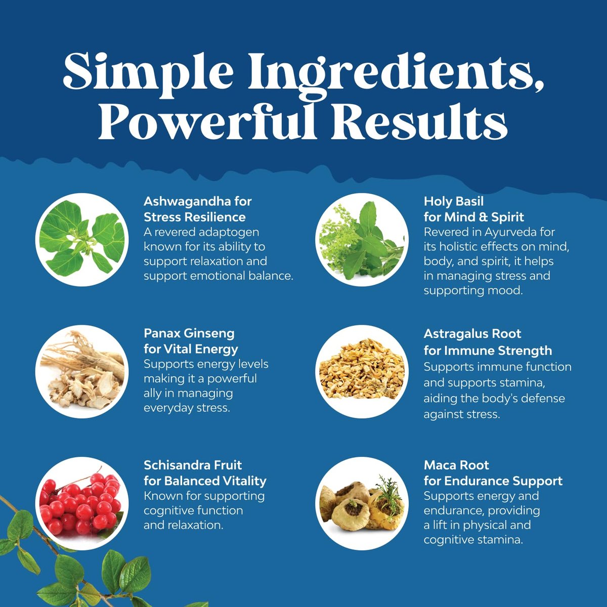 Kräuter-Adaptogen-Stimmungsunterstützung - Beruhigende Adaptogene für Stress- & Cortisol-Management mit Ashwagandha, Rhodiola Rosea & Maca-Wurzel - Vegan & tagsüber geeignet - 60 Kapseln